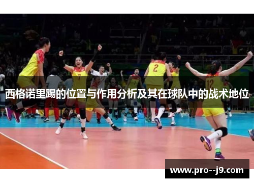 西格诺里踢的位置与作用分析及其在球队中的战术地位 西格诺里踢的位置与作用分析及其在球队中的战术地位