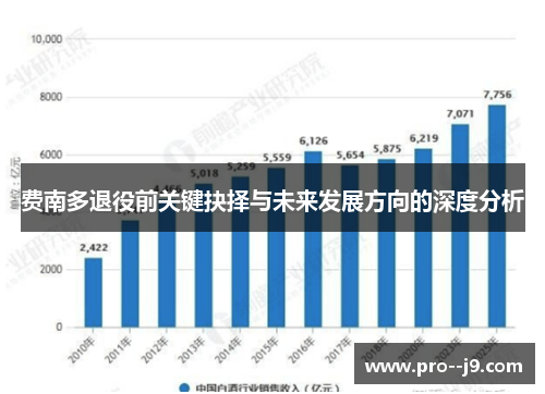 费南多退役前关键抉择与未来发展方向的深度分析