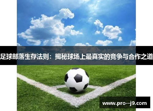 足球部落生存法则：揭秘球场上最真实的竞争与合作之道