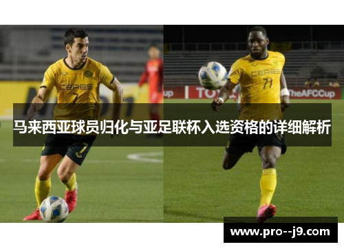 马来西亚球员归化与亚足联杯入选资格的详细解析