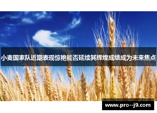 小麦国家队近期表现惊艳能否延续其辉煌成绩成为未来焦点 小麦国家队近期表现惊艳能否延续其辉煌成绩成为未来焦点