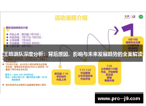 王皓退队深度分析：背后原因、影响与未来发展趋势的全面解读
