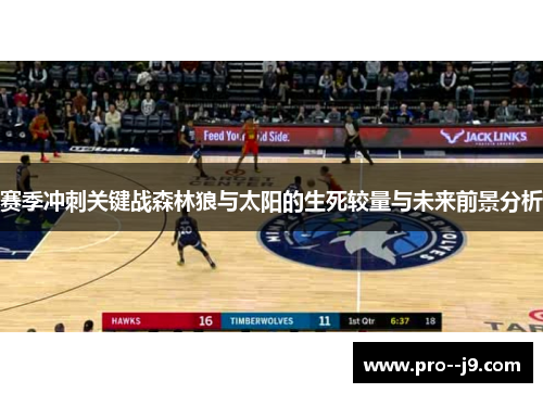 赛季冲刺关键战森林狼与太阳的生死较量与未来前景分析