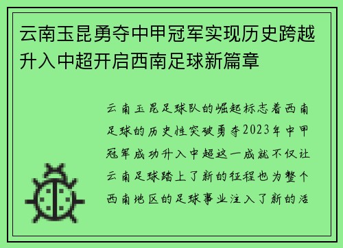 云南玉昆勇夺中甲冠军实现历史跨越升入中超开启西南足球新篇章 云南玉昆勇夺中甲冠军实现历史跨越升入中超开启西南足球新篇章