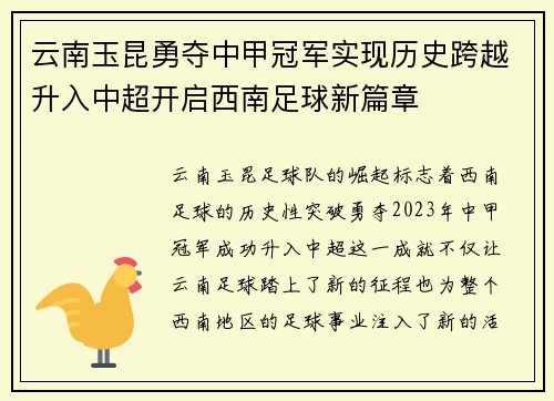 云南玉昆勇夺中甲冠军实现历史跨越升入中超开启西南足球新篇章